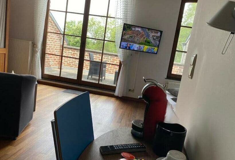 酒店 Hôtel Du Vieux Moulin