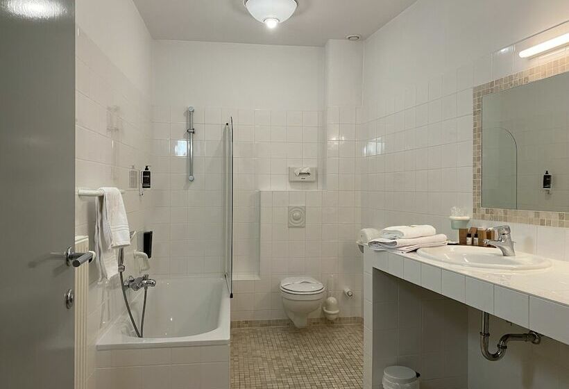 酒店 Hôtel Du Vieux Moulin