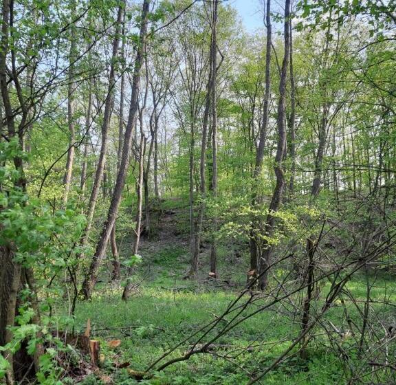 בית מלון כפרי Rókabérc Vadászház