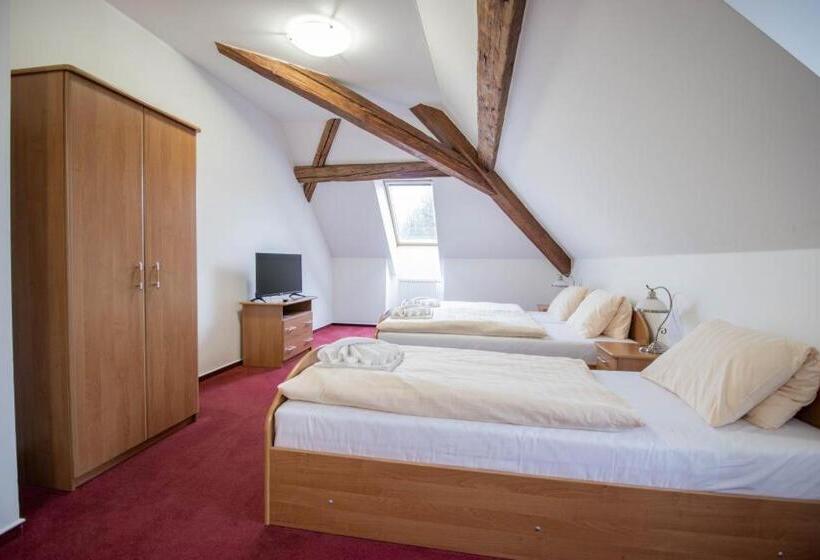 בית מלון כפרי Zámeček Raspenava