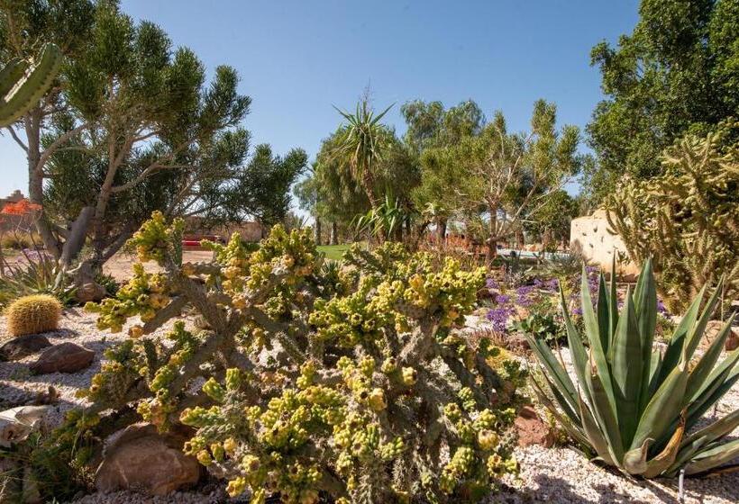 펜션 L’oasis De Kima