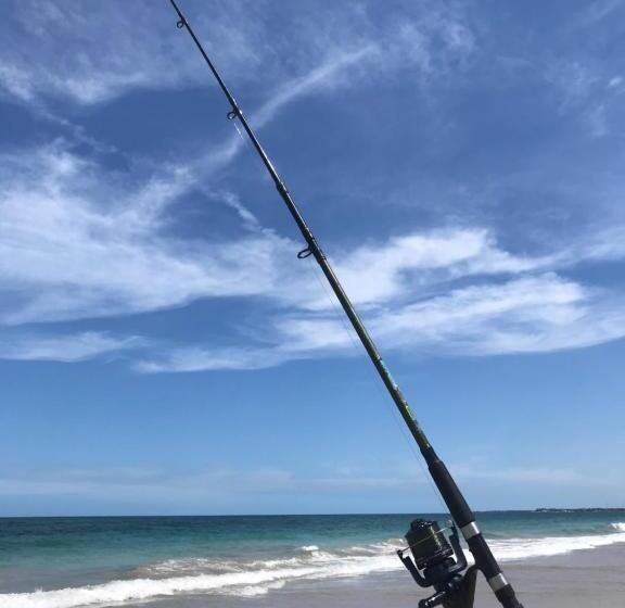 ペンション Pousada Recanto Pontal De Maracaipe