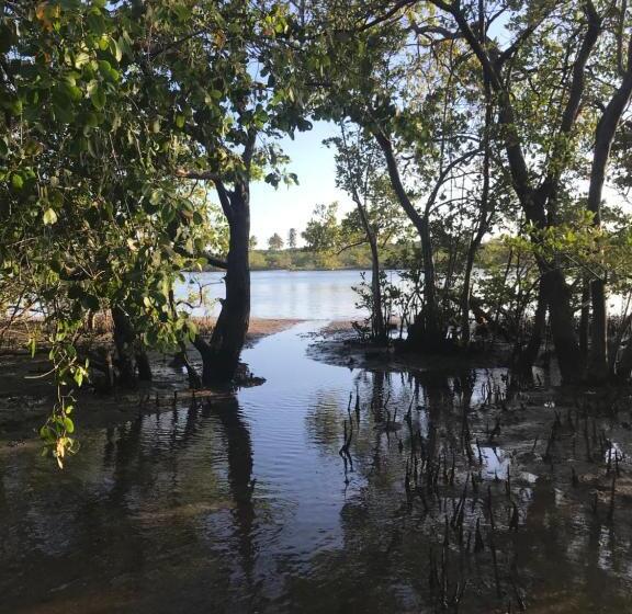 ペンション Pousada Recanto Pontal De Maracaipe