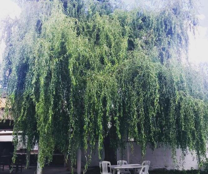 Пансион Sauce Viejo