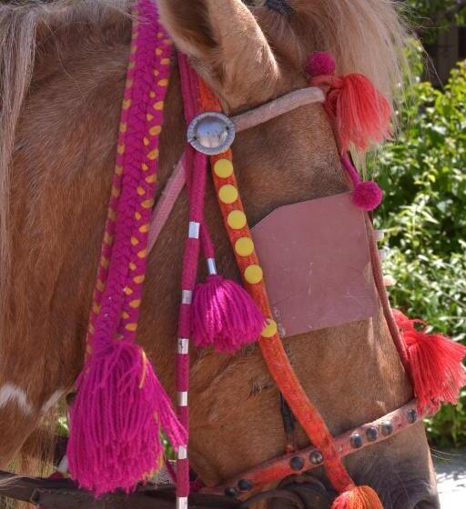 Отель La Siesta Bungalows Only Adults