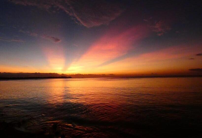 Отель La Siesta Bungalows Only Adults