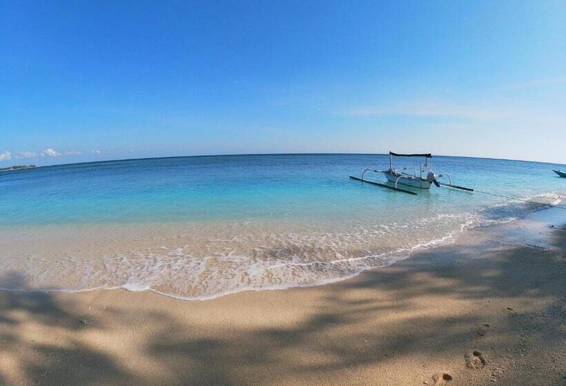 Отель La Siesta Bungalows Only Adults