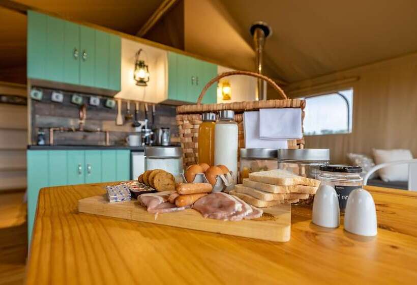 White Elephant Safaris