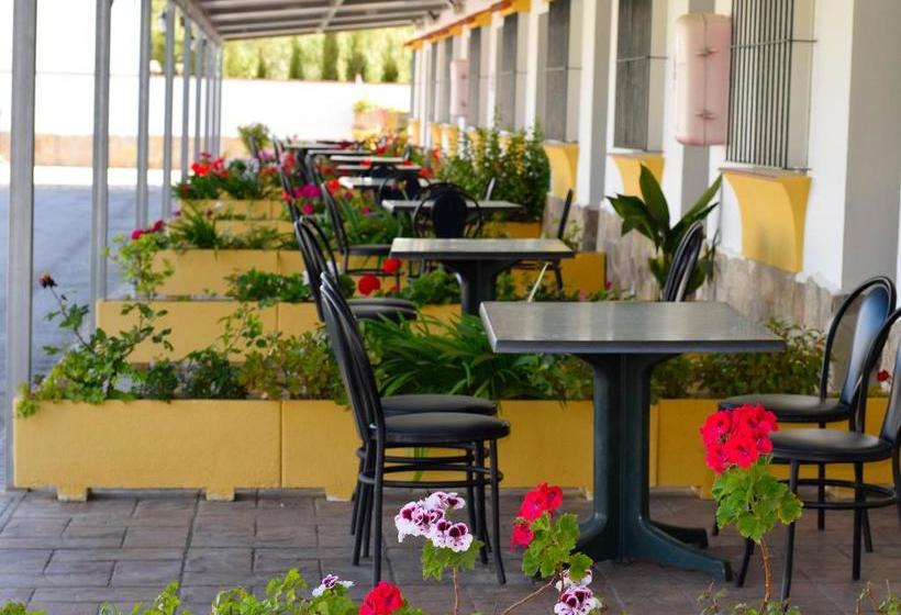 Apartamentos El Palmeral