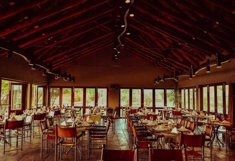 Buffelsdrift Game Lodge