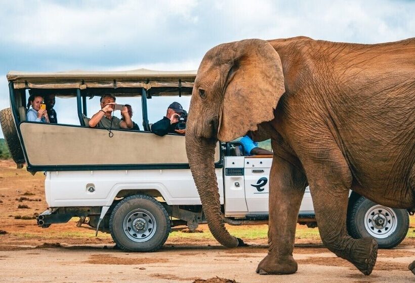 Hitgeheim Country Lodge