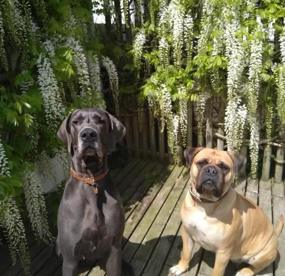 Отель Boscundle Manor