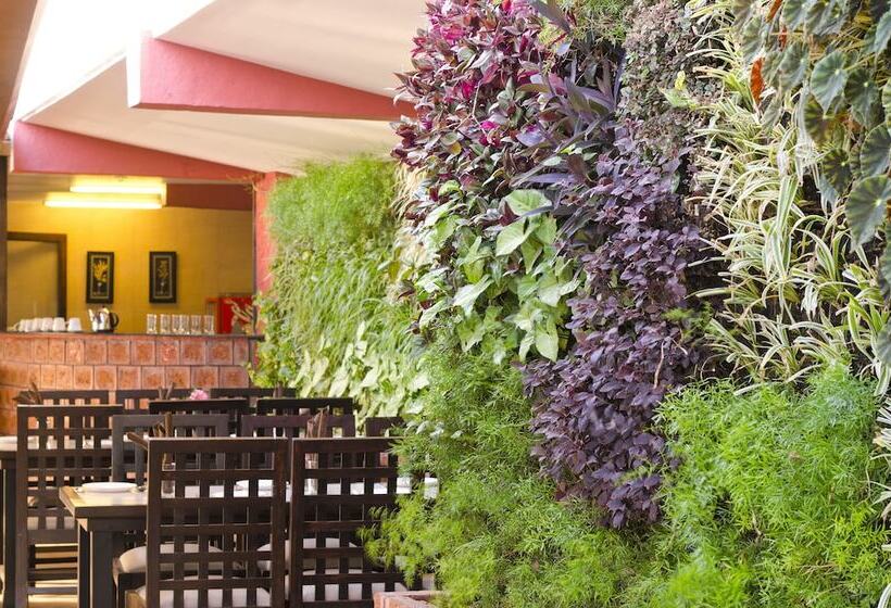 Отель Club Mahindra Saj Mahabaleshwar