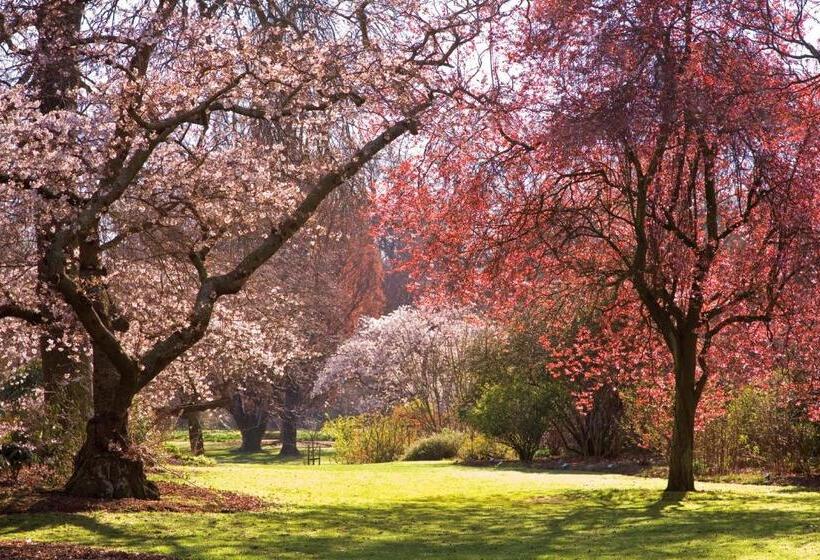 هتل Parkview On Hagley