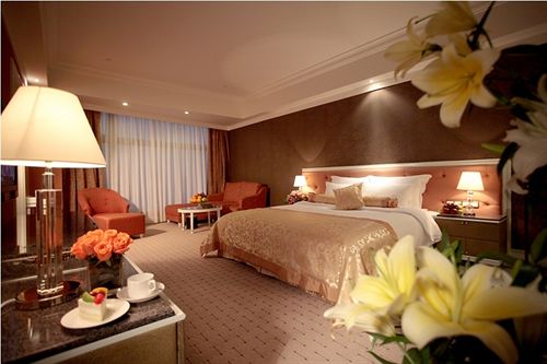 酒店 Shenzhen Qiushuishanju Grand