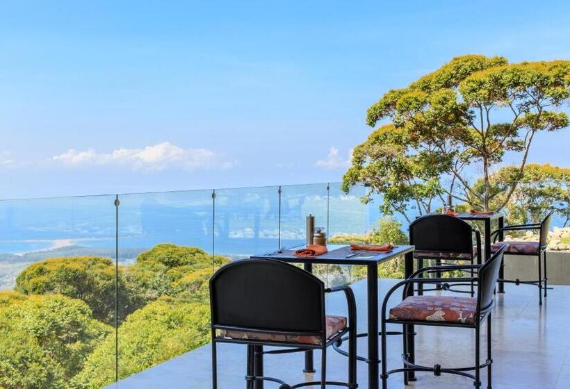 Rancho Pacifico   Boutique Hotel For Adults