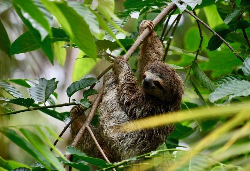 Rancho Pacifico   Boutique Hotel For Adults