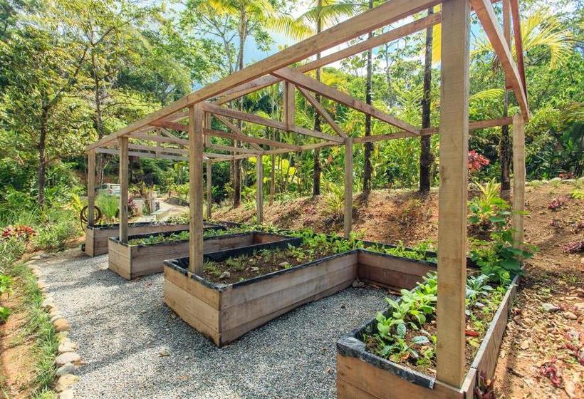 Rancho Pacifico   Boutique Hotel For Adults