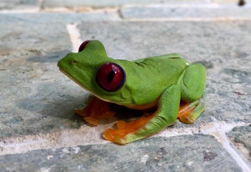 Rancho Pacifico   Boutique Hotel For Adults