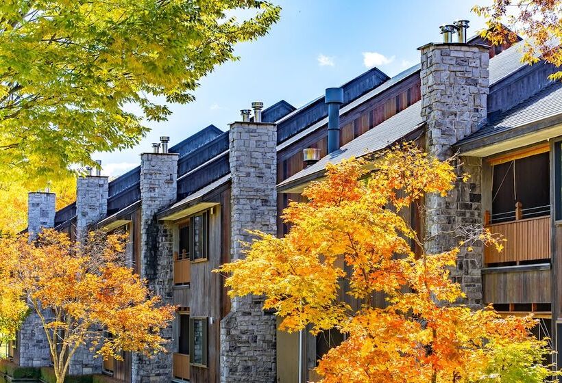 호텔 Sierra Resort Hakuba