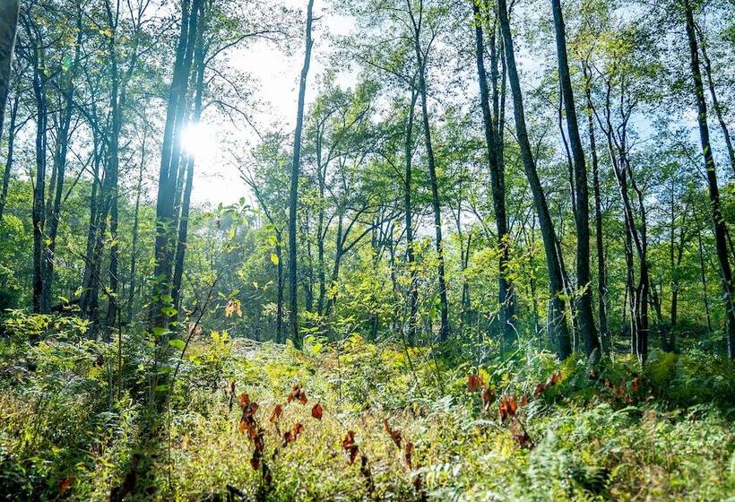 호텔 Sierra Resort Hakuba
