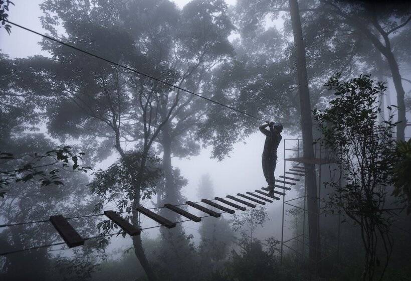 هتل Tea Valley Resort, Munnar