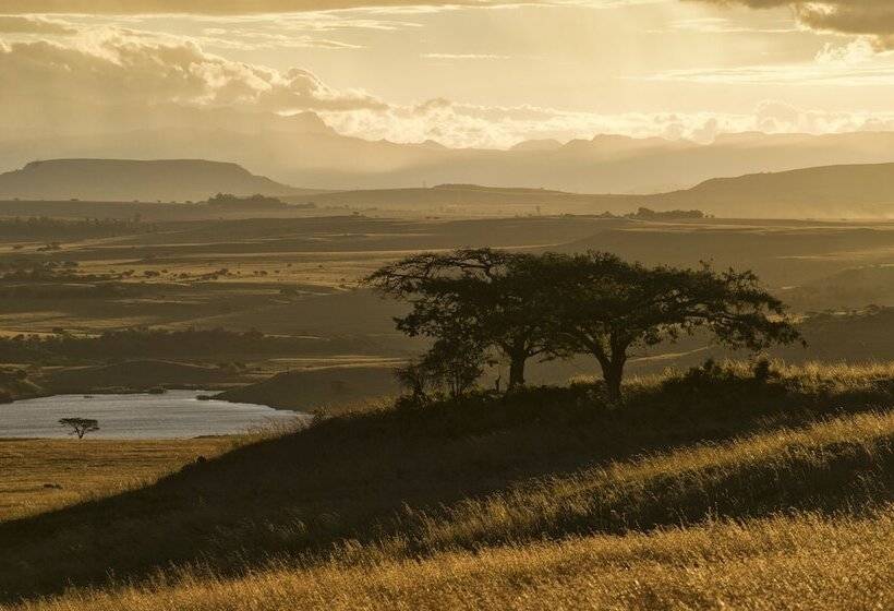 בית מלון כפרי Three Tree Hill Lodge