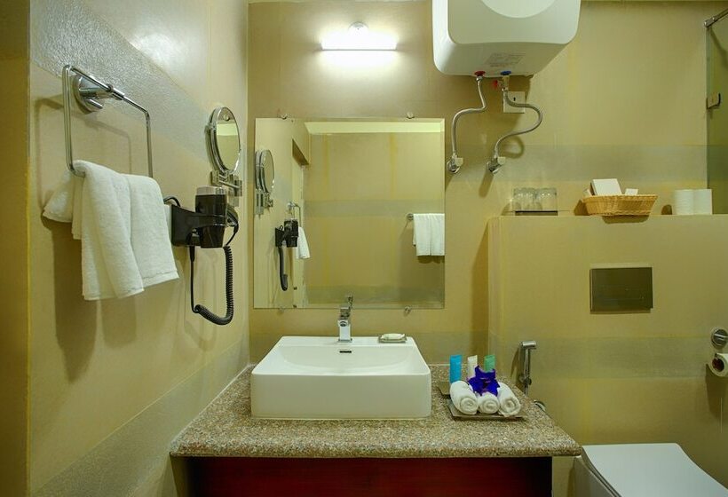 فندق The Aryan Regency