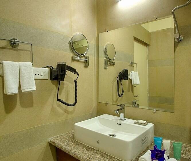 فندق The Aryan Regency