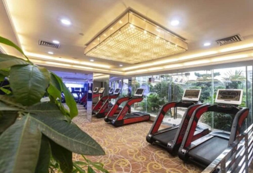 Отель Wellton International