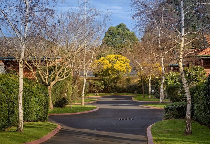 Park Avenue   Forest Hill