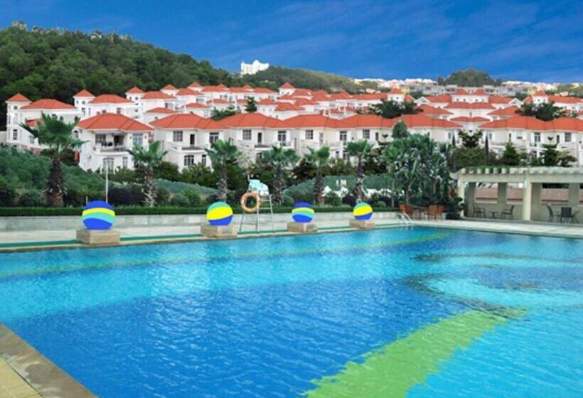 Отель Wellton International