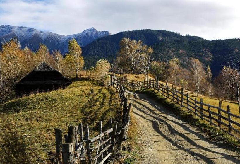 Отель Pensiunea Montan Din Bran,sat Simon Spa Indoor