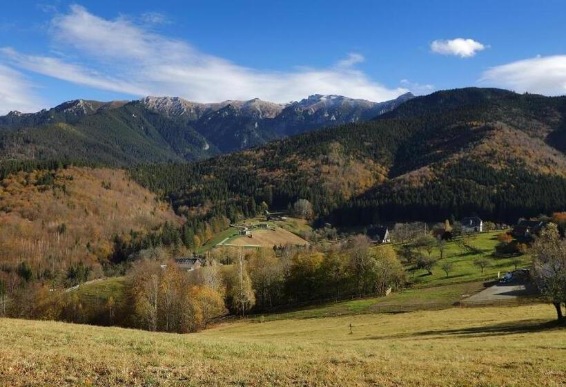 Отель Pensiunea Montan Din Bran,sat Simon Spa Indoor