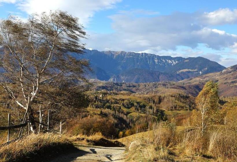 Отель Pensiunea Montan Din Bran,sat Simon Spa Indoor
