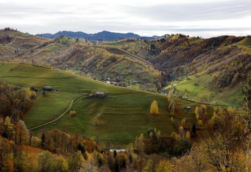 Отель Pensiunea Montan Din Bran,sat Simon Spa Indoor