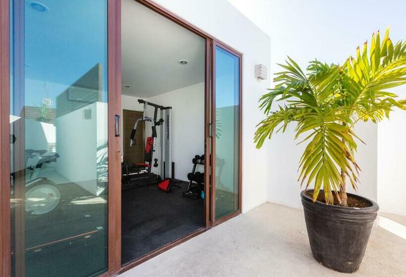 Luxury Apartment Two