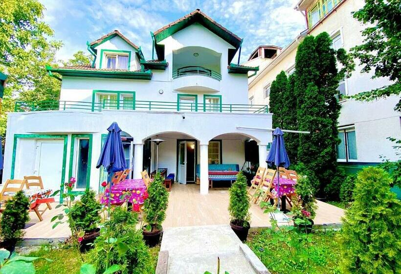 膳宿费 Navigator Cluj