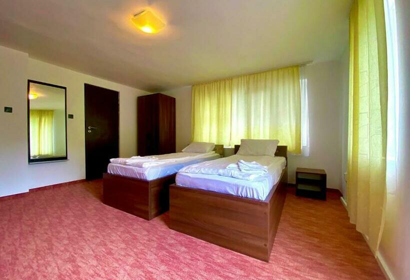 膳宿费 Navigator Cluj