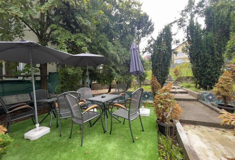 膳宿费 Navigator Cluj