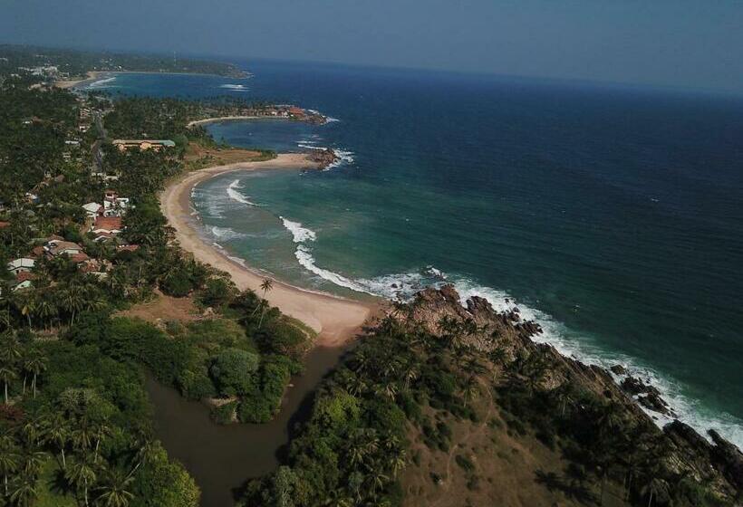 膳宿费 Parasol Dore