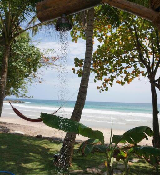 膳宿费 Parasol Dore