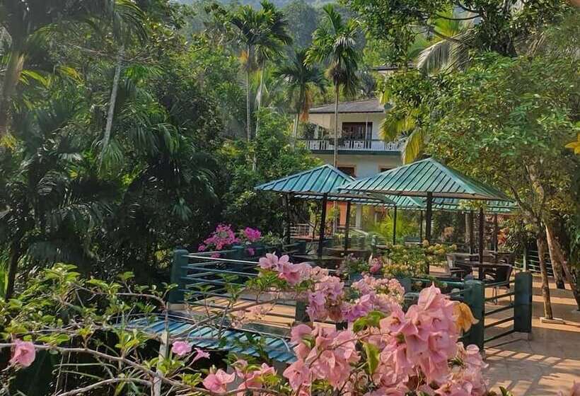 بنسيون Sinharaja Park