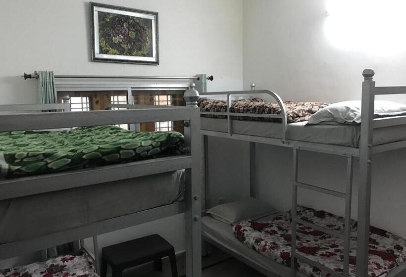 הוסטל 9backpackers