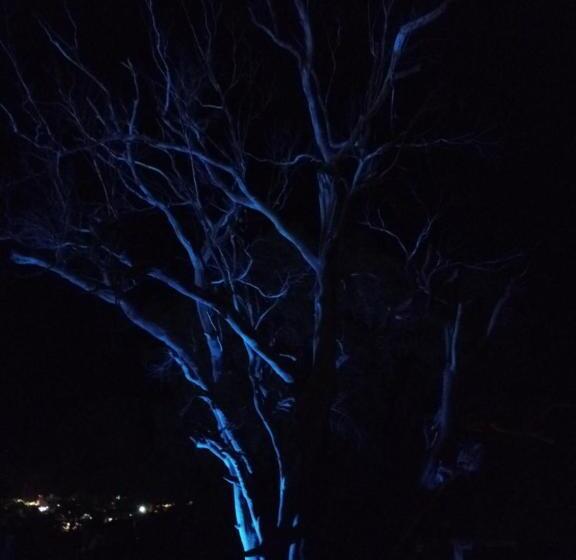 فندق صغير Complejo Aloha