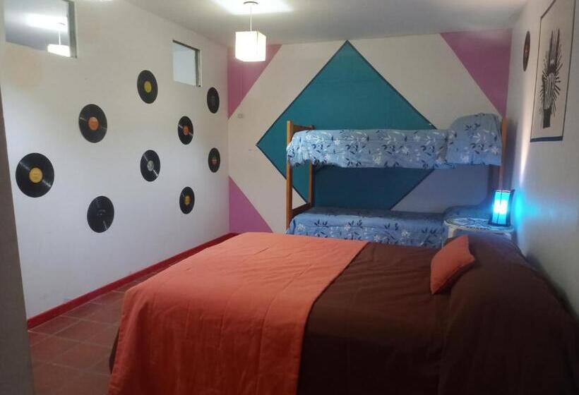 فندق صغير Complejo Aloha