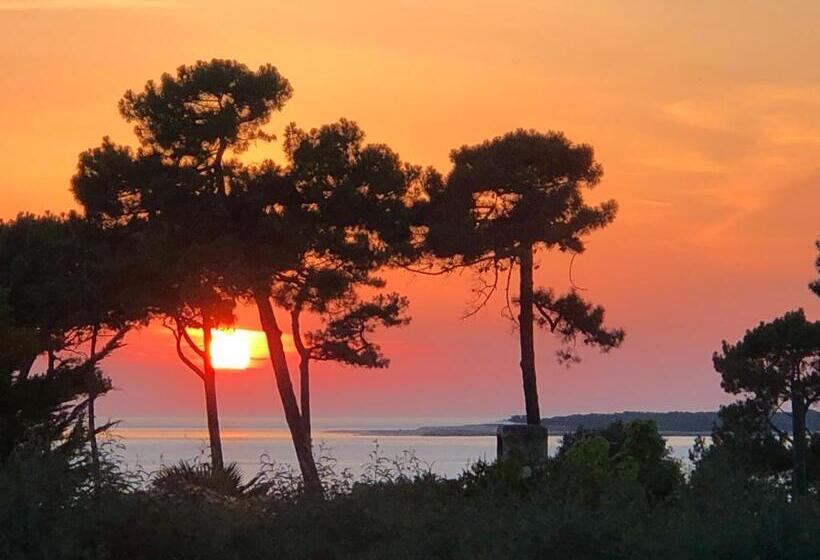 ベッドアンドブレックファースト Chambre D’hôtes Pyla Sur Mer