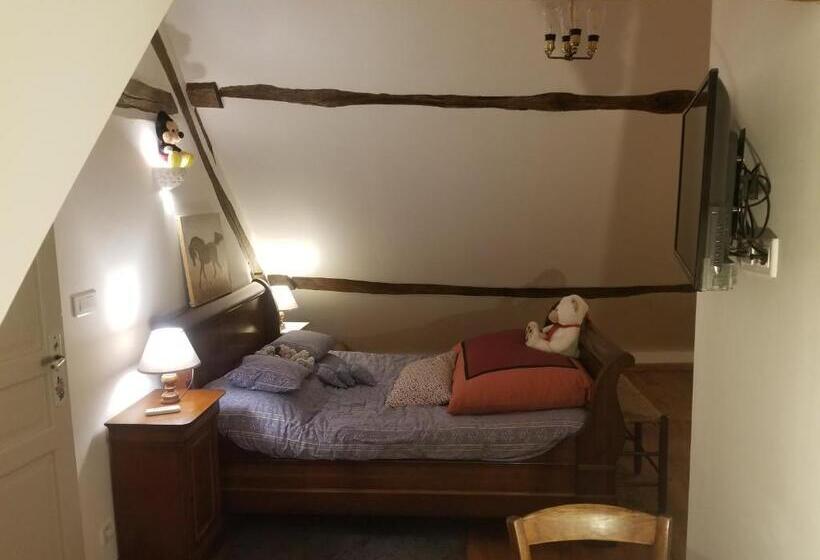 مبيت وإفطار Chenonceau Amboise équitation Beauval