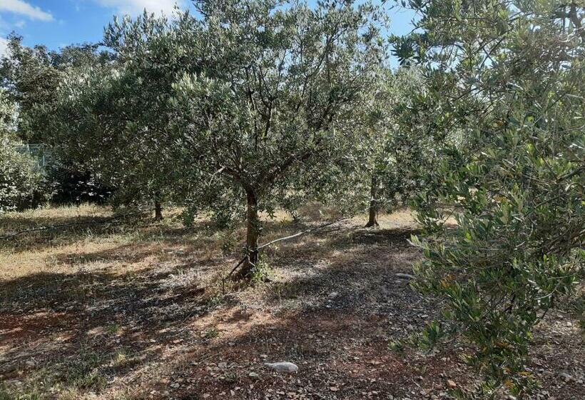 住宿加早餐  Villa Xanadu