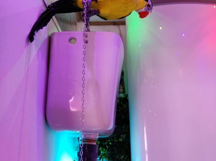 ベッドアンドブレックファースト Wonder Room Paraiso Magico Habitacion